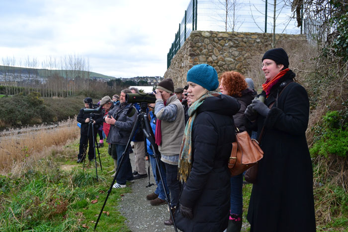 Conservation and Monitoring Teams