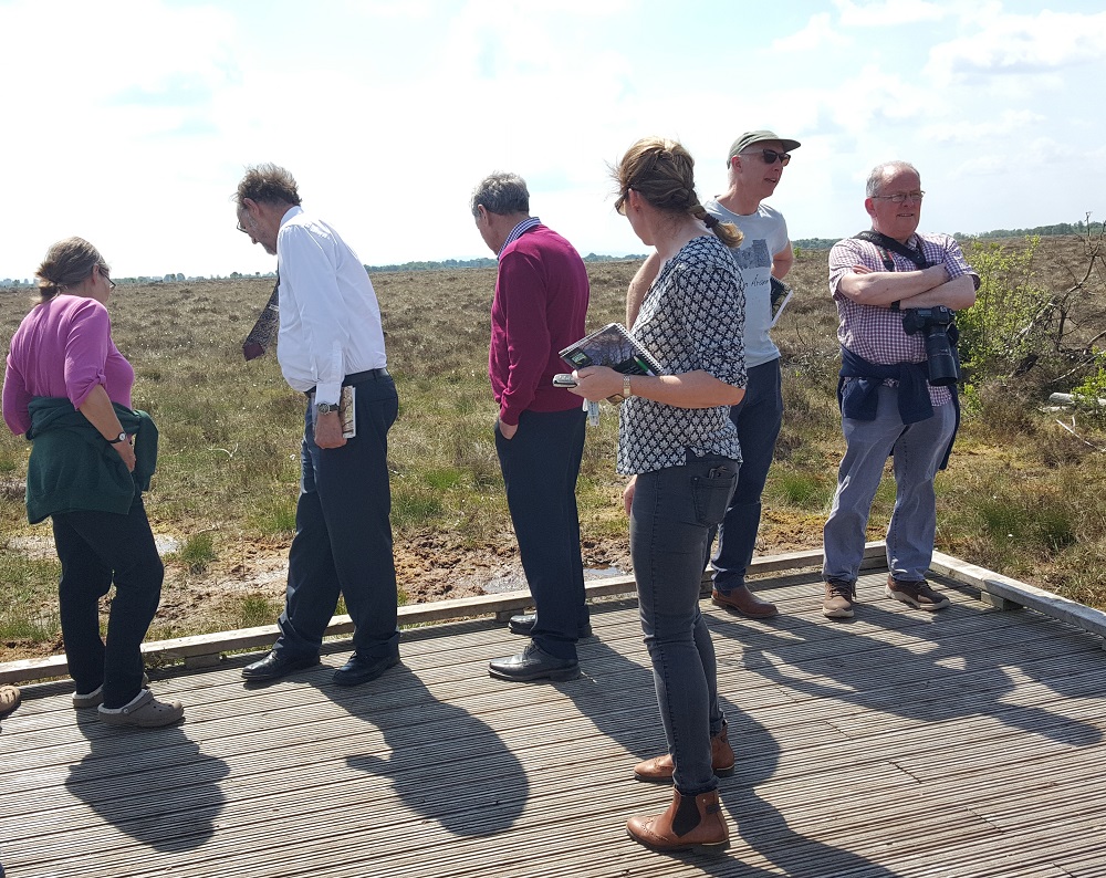 Irish Wetlands Team