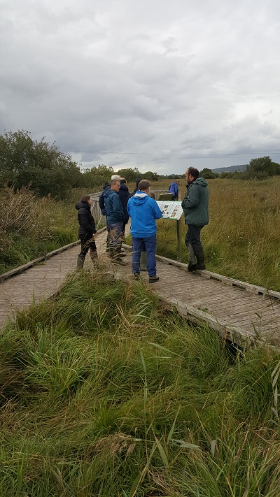 IRWC Pollardstown meeting