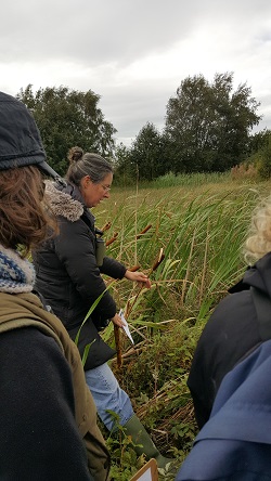 WetlandsWorkshopCabragh3_180925 Faith Wilson guiding the Workshop