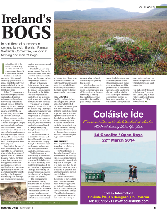 Ireland's Bog Publication