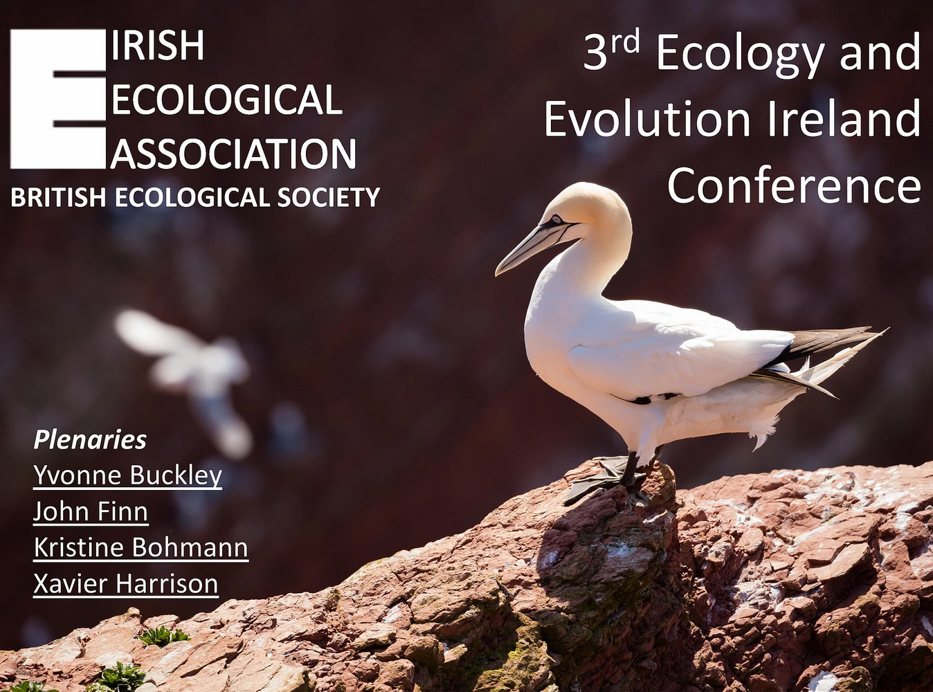 Irish Ecological Association - Third Ecology and Evolution Ireland Conference
