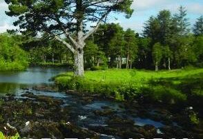 Ireland's Rivers Publication