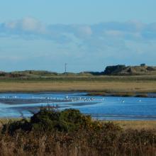 Baldoyle Bay