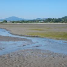 Dundalk Bay