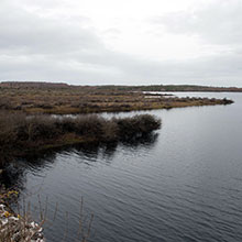 Loch na Cúile agus Coill Gairealán