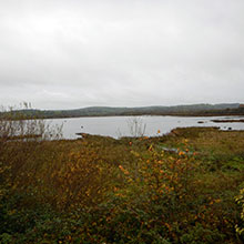 An Gaorthadh