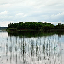 Lough Ennell