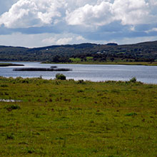 Lough Gara