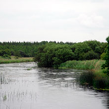 Lough Iron