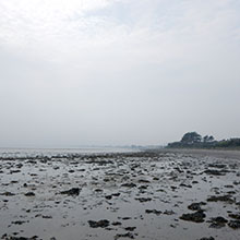 North Bull Island