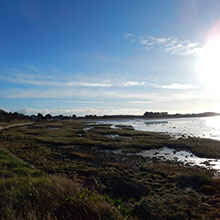 Rogerstown Estuary