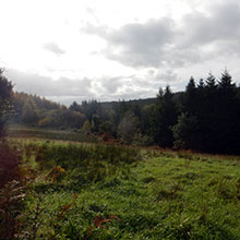 Slieve Bloom Mountains