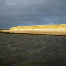 The Broadmeadow Estuary