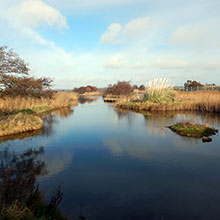 Cúlchiste Fiadhúlra Loch Garman