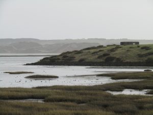 A view of Tramore Back Strand, Waterford - mudflats with some waterbirds