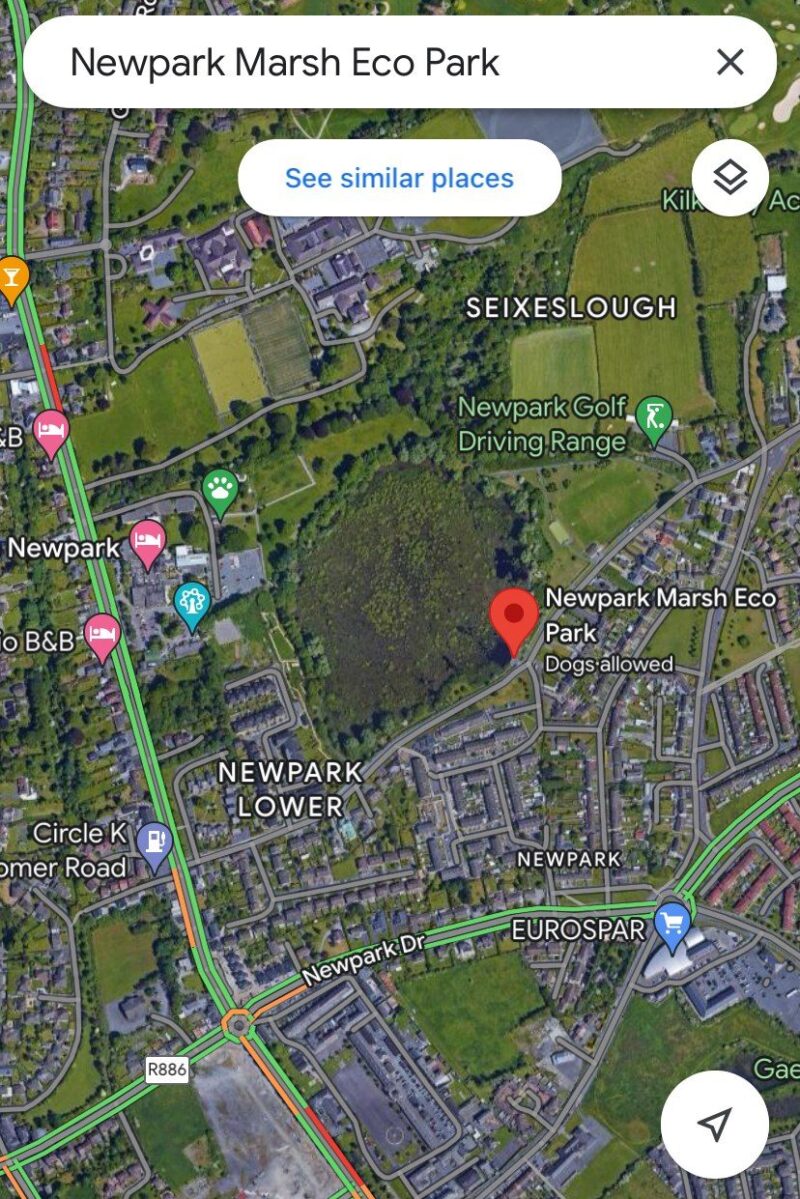 World Wetlands Day 2024 – Newpark Fen (Kilkenny) – Irish Ramsar ...
