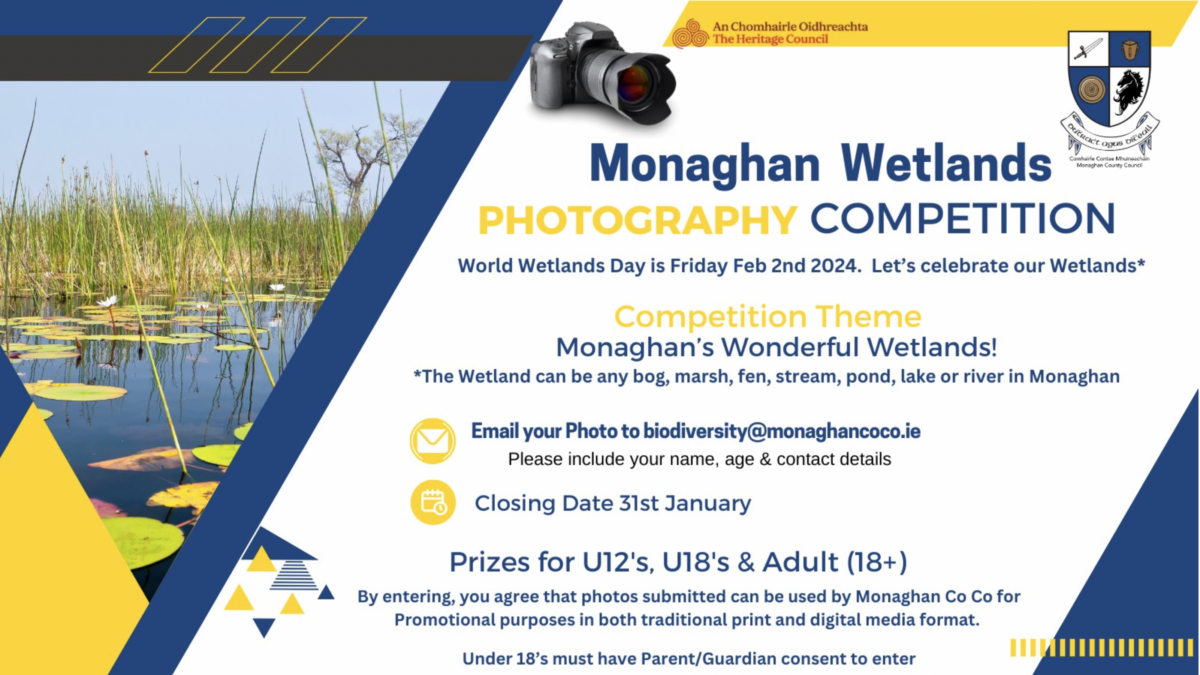 World Wetland's Day - Photo competition (Monaghan) - Irish Ramsar ...