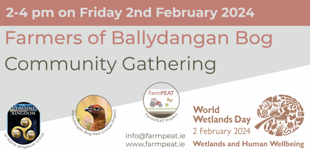 World Wetlands Day 2024 - Ballydangan Bog (Roscommon) - Irish Ramsar ...