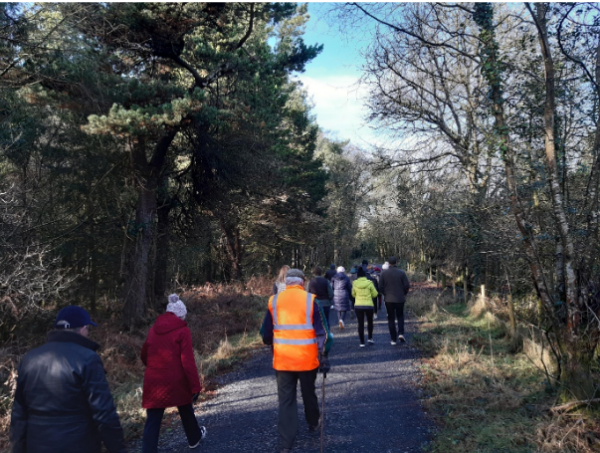 Co. Westmeath. World Wetlands Day Walk & Talk at Milltownpass Bog ...