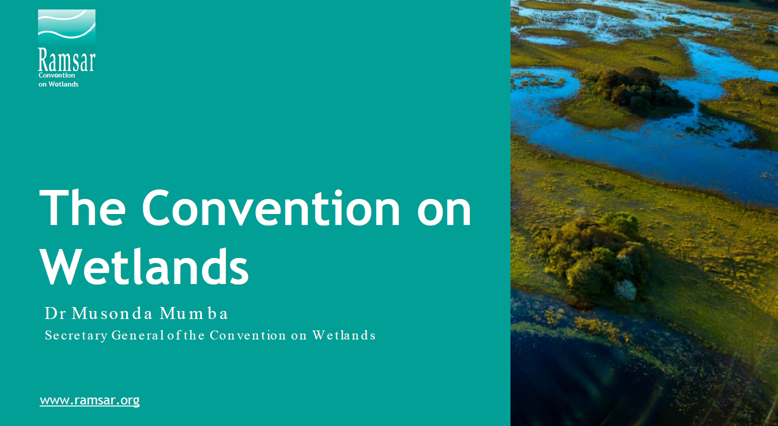 the convention on wetlands