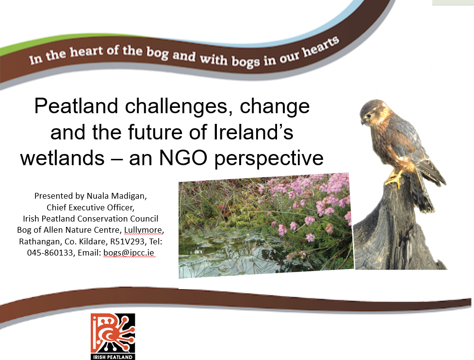 peatlands challenges, change and the future of Ireland's wetlands - an NGO perspective