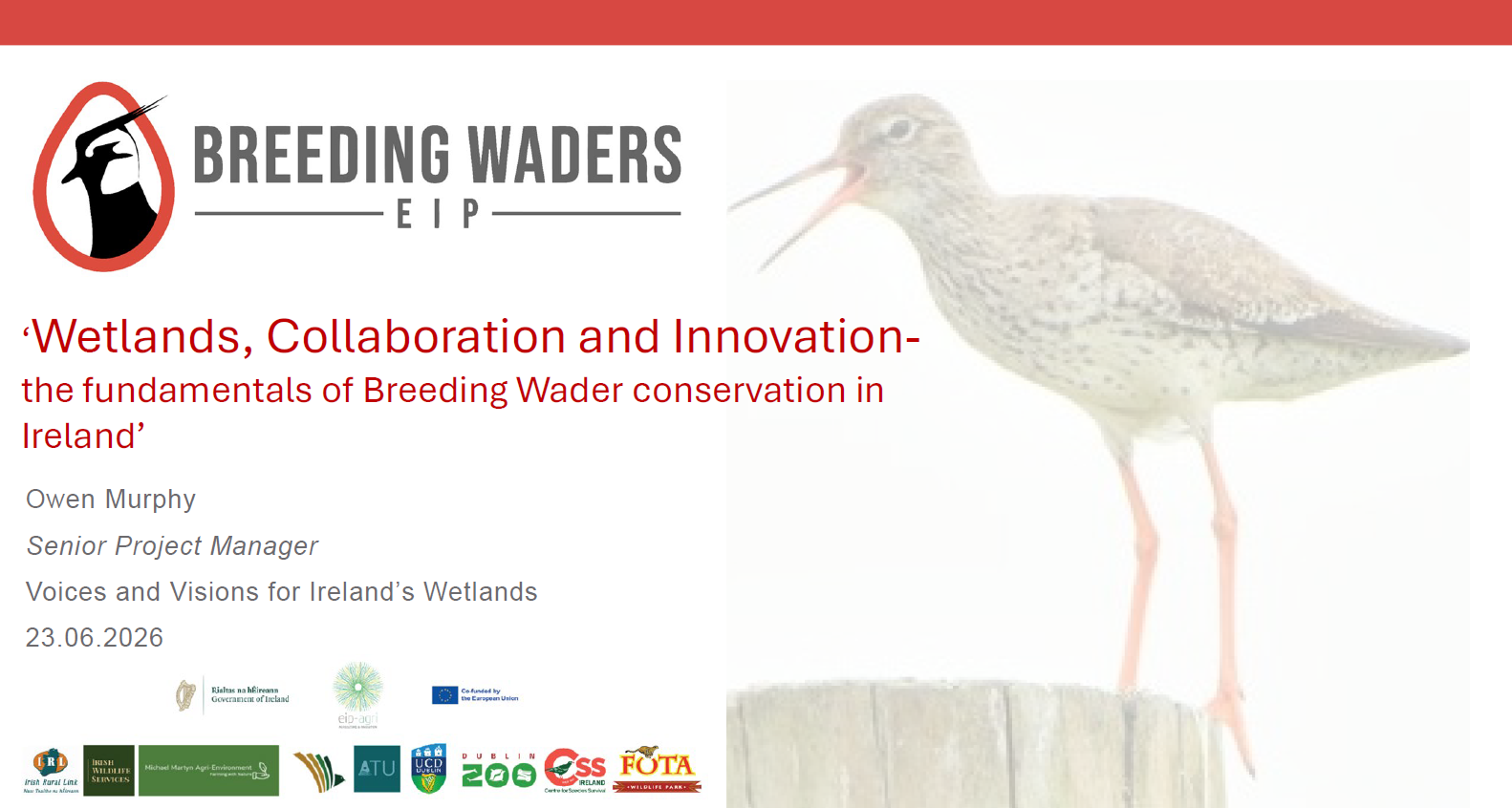 wetlands,collaboration and innovation - the fundamentals of breeding wader conservation in ireland